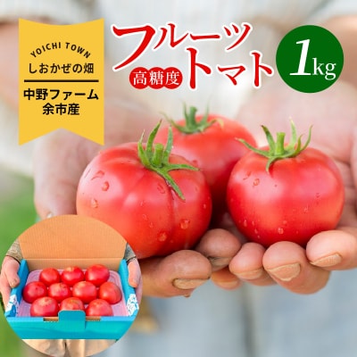 〔先行受付〕しおかぜの畑 中野ファーム 余市産 フルーツトマト1kg_Y037-0350
