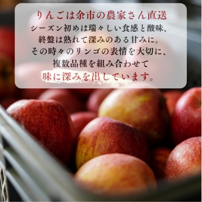 ザクザク薫るアップルパイ(6個入)_Y107-0008
