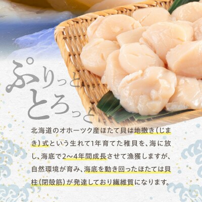 【緊急支援品】北海道産 ほたて貝柱 500g_Y038-0130