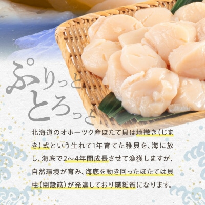北海道産 ほたて貝柱 500g_Y038-0148-CP