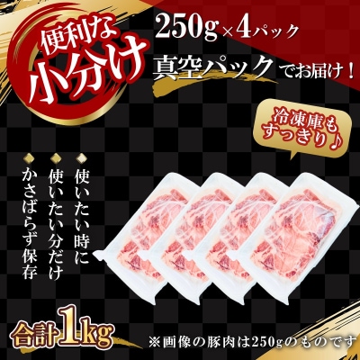北海道産 北島ワインポーク カツ用ロース 1kg 【小分け】_Y067-0083
