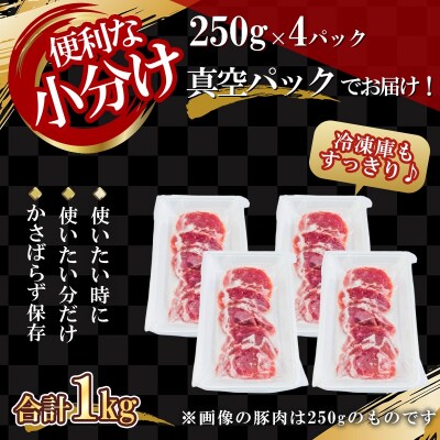 北海道産 北島ワインポーク ヒレカツ用肉 1kg 【小分け】_Y067-0088