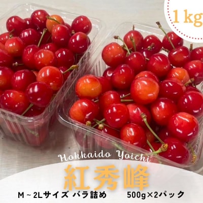 【2025年7月より発送】<北海道余市産>さくらんぼ「紅秀峰」500g×2パック_Y103-0021