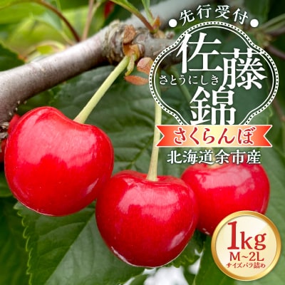 【先行受付】北海道余市産 さくらんぼ「佐藤錦」(M～2Lサイズバラ詰め)_Y103-0053