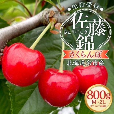 【先行受付】北海道余市産 さくらんぼ「佐藤錦」(M~2Lサイズバラ詰め)_Y103-0070