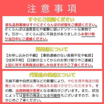 【先行受付】北海道余市産 さくらんぼ「佐藤錦」(M～2Lサイズバラ詰め)_Y103-0053