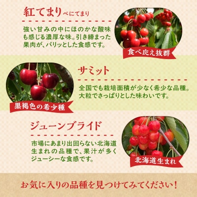 【先行受付】北海道余市産 さくらんぼ「佐藤錦」(M～2Lサイズバラ詰め)_Y103-0070