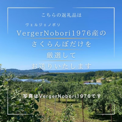 【先行受付】北海道余市産 さくらんぼ「佐藤錦」(M～2Lサイズバラ詰め)_Y103-0053