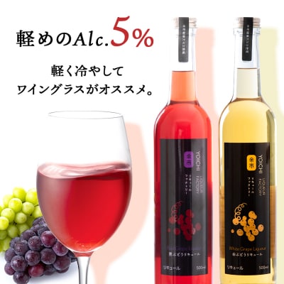 ぶどうリキュール2本【品種おまかせ】〈余市リキュールファクトリー〉_Y020-0609