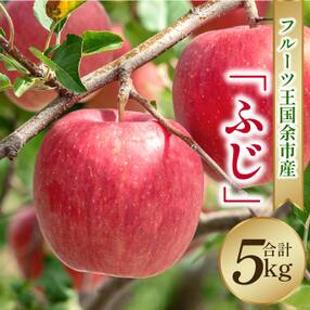 フルーツ王国余市産「ふじ」5kg【ニトリ観光果樹園】_Y074-0057