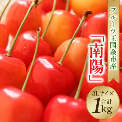 2025年発送【先行受付】南陽【3Lサイズ】500g×2【ニトリ観光果樹園】_Y074-0117
