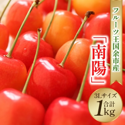 2025年発送【先行受付】南陽【3Lサイズ】500g×2【ニトリ観光果樹園】_Y074-0117