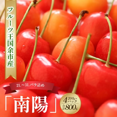 2025年発送【先行受付】南陽【2L～3Lバラ】200g×4【ニトリ観光果樹園】_Y074-0119