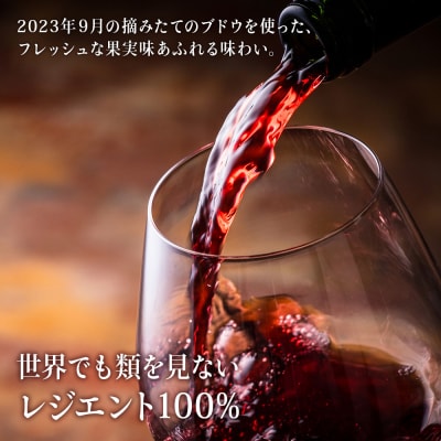 【数量限定】ヨイチヌーヴォーレジェント 2023 2本セット<キャメルファーム>_Y020-0636