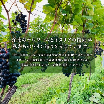 【数量限定】ヨイチヌーヴォーレジェント 2023 2本セット<キャメルファーム>_Y020-0636