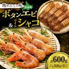 【獲れたての味!】ボタンエビ300g×1・ボイルシャコ300g×1_Y022-0027