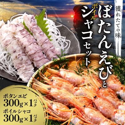 【獲れたての味!】ボタンエビ300g×1・ボイルシャコ300g×1_Y022-0027