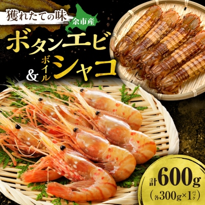 【獲れたての味!】ボタンエビ300g×1・ボイルシャコ300g×1_Y022-0027
