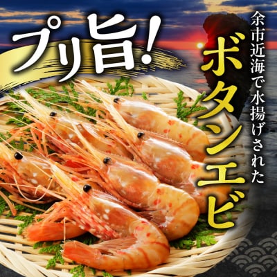 【獲れたての味!】ボタンエビ300g×1・ボイルシャコ300g×1_Y022-0027