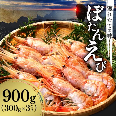 【獲れたての味!】ボタンエビ300g×3パック_Y022-0023