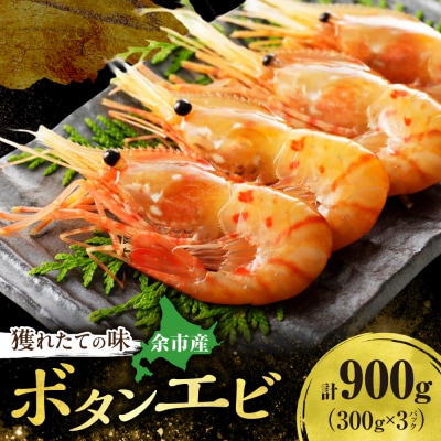 【獲れたての味!】ボタンエビ300g×3_Y022-0026