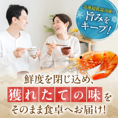 【獲れたての味!】ボタンエビ300g×3_Y022-0026