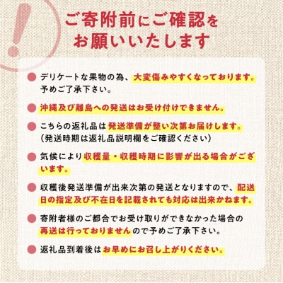 【先行受付:2026年7月中旬以降発送分】さくらんぼ (紅秀峰) 1kg_Y010-0657