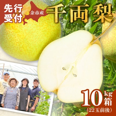 【2026年9月下旬以降発送】千両梨 10kg箱(22玉前後 北海道産 余市町産_Y015-0035