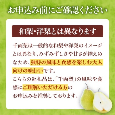 2025年9月下旬発送予定【先行受付】特選千両梨　北海道余市町産_Y015-0028