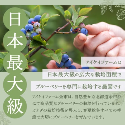 アイケイファーム余市 ブルーベリーコンポート_Y111-0001