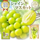 【2024年度10月上旬以降発送分先行受付】シャインマスカット 1房_Y010-0026