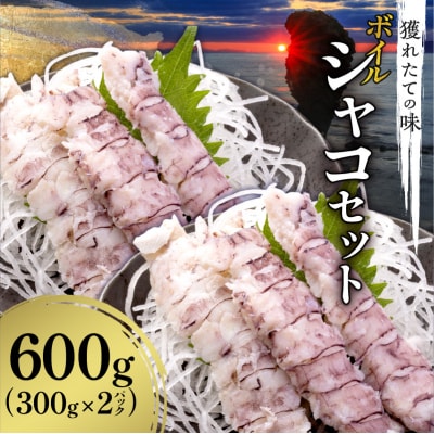 【獲れたての味!】ボイルシャコ300g×2パック_Y022-0022