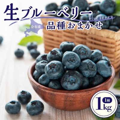 【7月中旬頃より発送】青果ブルーベリーおまかせ1種1kg(500g×2パック)_Y111-0010