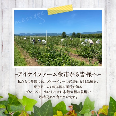 【7月中旬頃より発送】青果ブルーベリーおまかせ1種1kg(500g×2パック)_Y111-0010