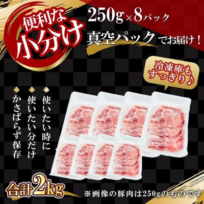 【農場直送】真空パック　北島ワインポーク　ローススライス 2kg 【小分け】_Y067-0115