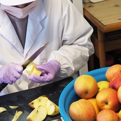 【余市産】すこやか自然農園「ドライフルーツりんご」10g×2Pセット_Y034-0108