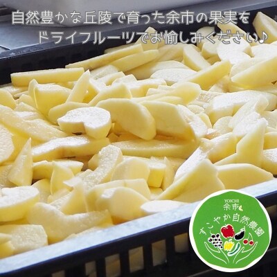 【余市産】すこやか自然農園「ドライフルーツ」セット_Y034-0069