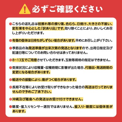 【先行受付:2026年10月中旬以降発送分】訳あり りんご(昂林) 3kg_Y010-0662