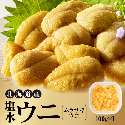 【先行受付】北海道産 塩水ウニ(ムラサキ)100g_Y038-0138