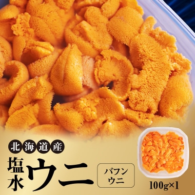 【先行受付】北海道産 塩水ウニ(バフン)100g_Y038-0140