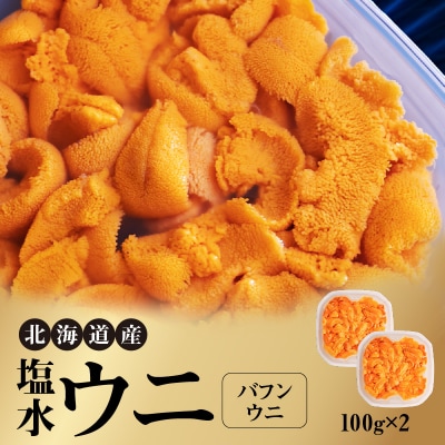【先行受付】北海道産 塩水ウニ(バフン)200g_Y038-0141