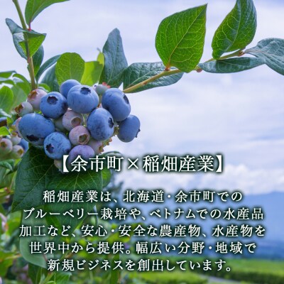 ブルーベリーワイン 2015<アイケイファーム余市>_Y020-0637