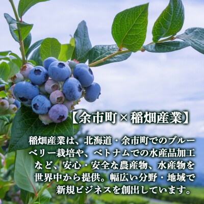 ブルーベリーワイン 2015・2016飲み比べ <アイケイファーム余市>_Y020-0672