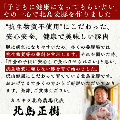 【12回定期便】北海道産北島ワインポーク ロースブロック約5kg 計約60kg_ Y067-0157