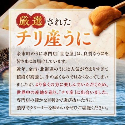北海道余市産 御雲丹 300g (チリ産) 100g×3パック 世壱屋_Y038-0105