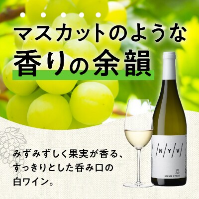 N・Y・V(エヌ・ワイ・ブイ)　余市ケルナー_Y090-0014