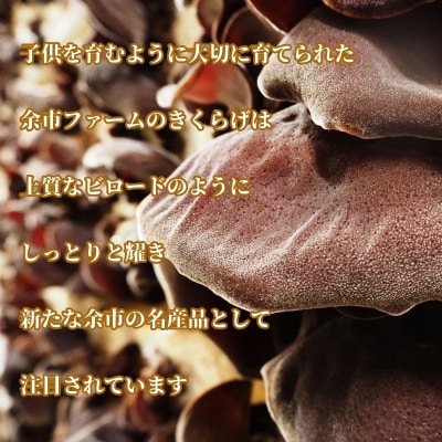 【余市産】細切り乾燥きくらげ(10g)×2Pセット_Y034-0062