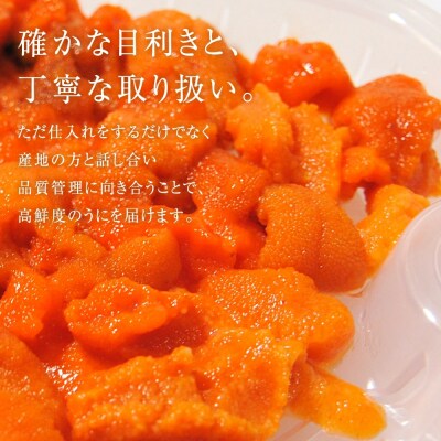 【先行受付2025年5月より順次発送】幸雲丹80g×2(ムラサキ 北海道産)_Y038-0114
