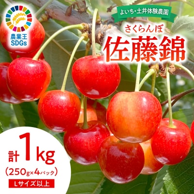 【先行受付:2026年6月下旬以降発送】さくらんぼ【佐藤錦】1kg_Y127-0014