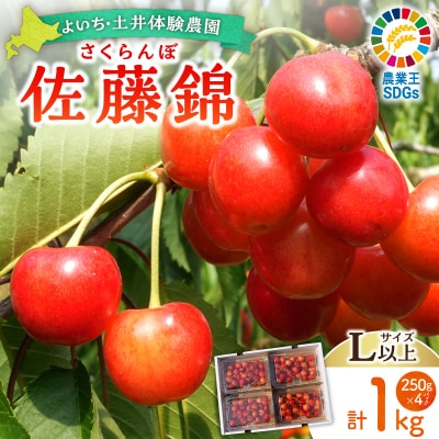 【先行受付:2026年6月下旬以降発送】さくらんぼ【佐藤錦】1kg_Y127-0014